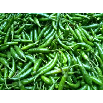 Fresh Green Chilli